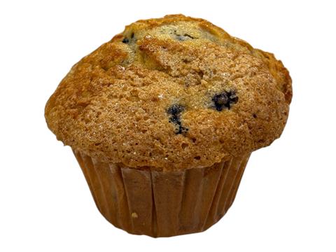 Large Blueberry Muffin Each (indiv wrap) - BX