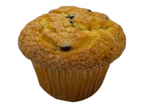 Large Chocolate Chip Muffin Each  (indiv wrap) - BX